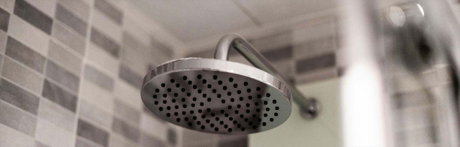 showerhead showerhead